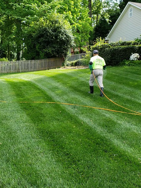 How to Keep Your Lawn Green and Healthy During Hot North Carolina Summers