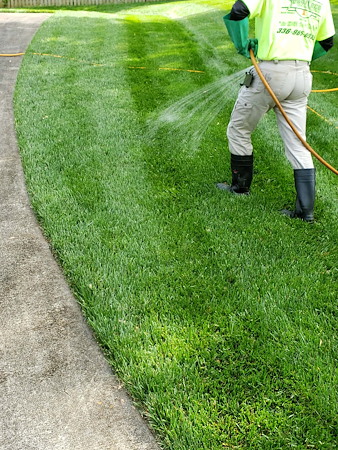 How to Keep Your Lawn Green During the Hot North Carolina Summer