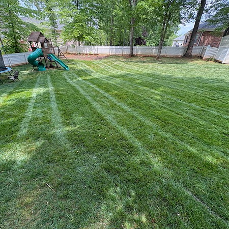 Preparing Your Lawn for Spring Weed Control