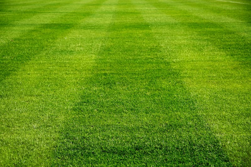 How Lawn Care Services Can Improve Your Property and Quality of Life