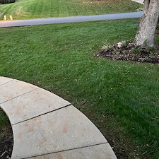 Seeded-Success-Total-Yard-Makeover-from-Scratch 3
