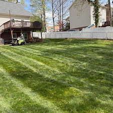 Seeded-Success-Total-Yard-Makeover-from-Scratch 1