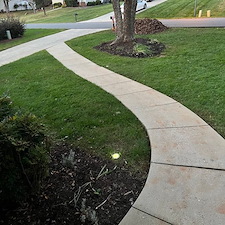 Seeded-Success-Total-Yard-Makeover-from-Scratch 2