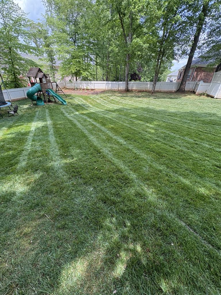 After Aeration and Seeding