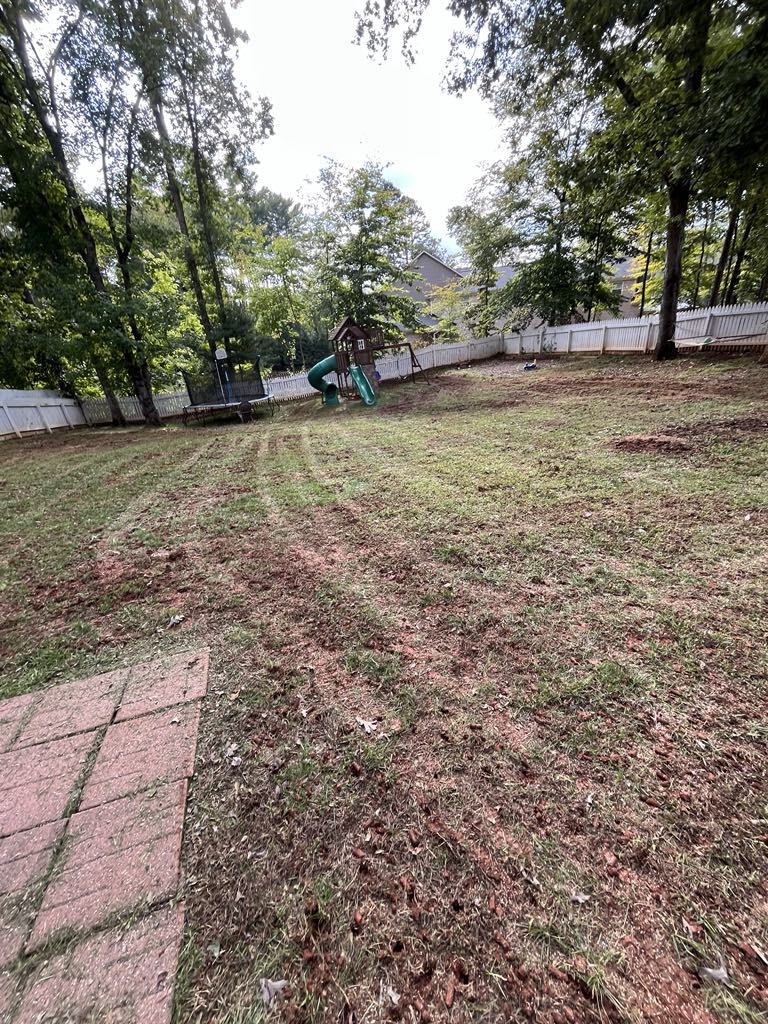 Before Aeration and Seeding