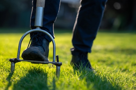 Core Aeration and Seeding