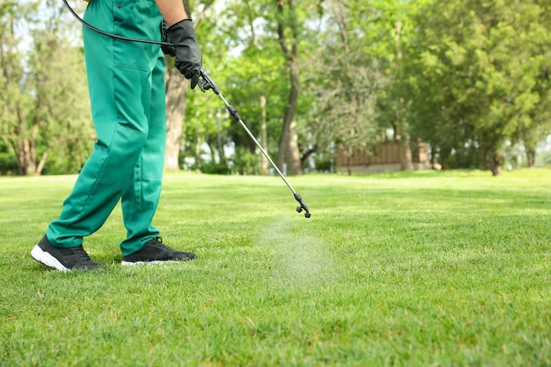 Weed Control & Lawn Fertilizing